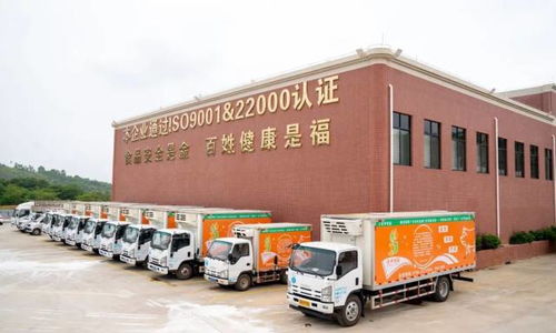 廣東羅定天溪冷鏈物流產地倉一期項目正式動工，助力海淘物流升級